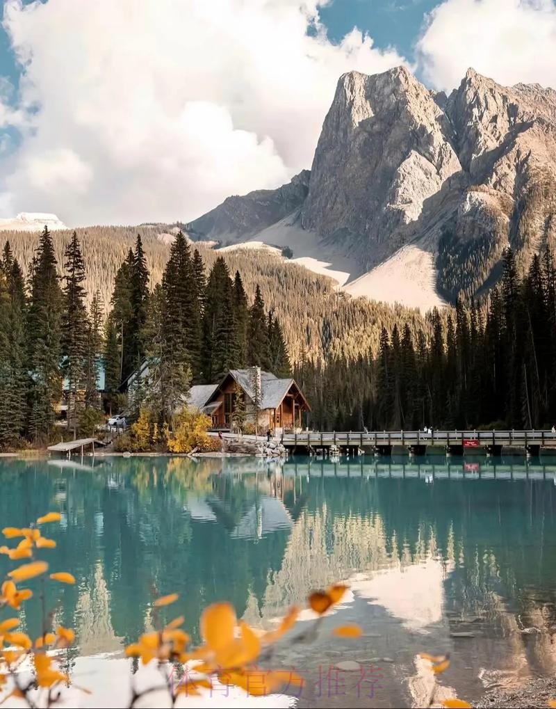 2026美加墨世界杯免费观看哪个平台好 2026美加墨世界杯免费观看哪个平台好